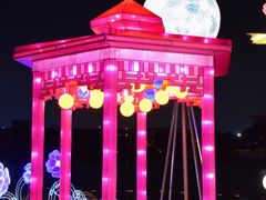 -欢乐海岸椰林沙滩-2025湾区超级灯会