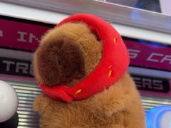 -太空球乐园