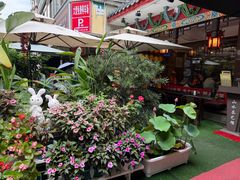 -山水茶艺馆·点心粤菜·30年老字号