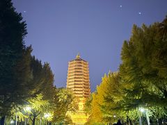 -玲珑塔公园