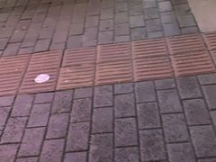 -御鼎田园鸡(伴山名都店)