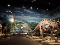 -自贡恐龙博物馆