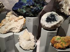 -正佳自然科学博物馆