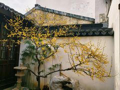 -哑巴生煎(临顿路店)