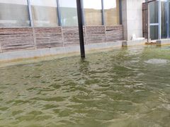 -春晖园度假酒店温泉