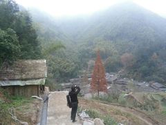 -林坑古村落