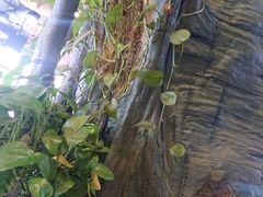 -活鱼馆(宜兴埠店)