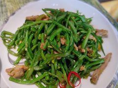 老碗扁豆-左陕右甘(亚运村店)