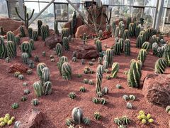 -南通洲际绿博园