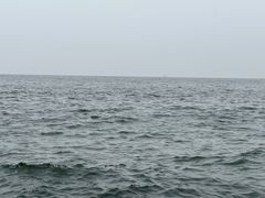 -东来菜馆•手抓海鲜家常菜•海鲜锅贴(鸽子窝店)