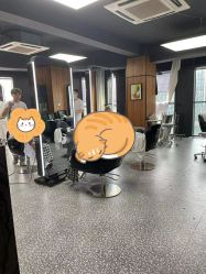 点击看大图 -HD HAIR STYLE