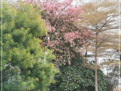 -海心沙亚运公园