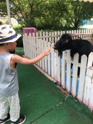 -萌宠亲子动物乐园(槐房万达店)