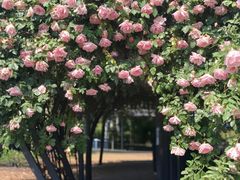 -上海植物园-4号门售票处