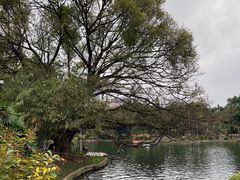 -晓港公园