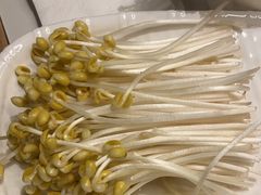 豆芽-蜀九香火锅(彩虹店)