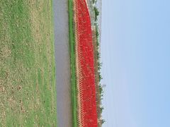 -迪茵湖田家舍生态农场