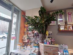 -我爱吾宠宠物美容院(朝阳路店)