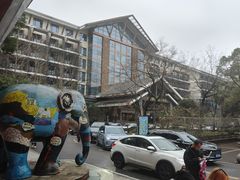 -三江森林温泉度假区