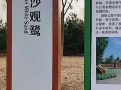 -东郊湿地公园