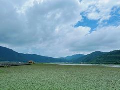 -腾冲北海湿地