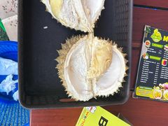 -Sibolang Durian