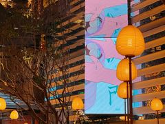 -桂满陇·海市蜃楼·黑金(国金店)