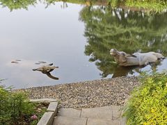-金银湖国家城市湿地公园