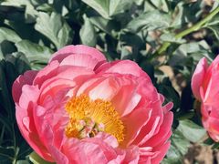 -洛阳市隋唐城遗址植物园