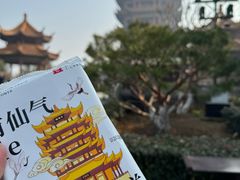 -黄鹤楼公园(黄鹤楼)