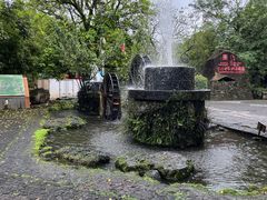 -海口火山口国家地质公园