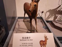 -大庆市博物馆