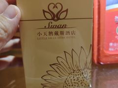 -长沙小天鹅戴斯酒店