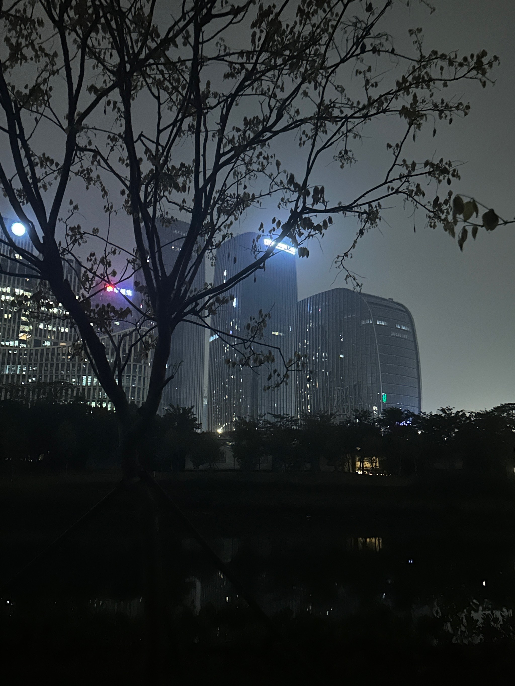 深圳cbd夜景实拍