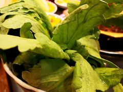 茼蒿-芦月轩羊蝎子(北蜂窝店)