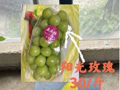 -马陆小张葡萄园农家乐