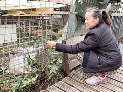 -青浦采草莓天天草莓园