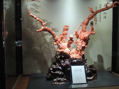 -绮丽珊瑚(台北101旗舰门市店)