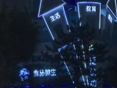 -盒马鲜生(红莲店)