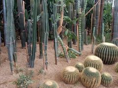 -祥源·阜阳生态乐园