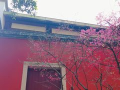 -乌山风景区