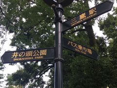 -三鹰之森吉卜力美术馆