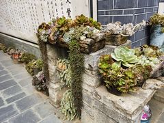 -寂照庵