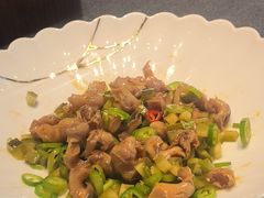 -子福慧(虹桥店)