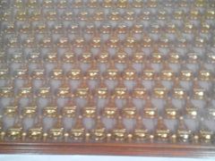 -焦山景区-万佛塔