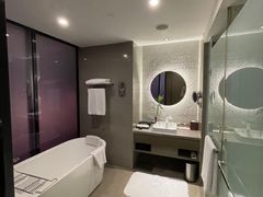 -南京禄口机场雅高铂尔曼大酒店