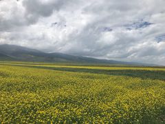 -青海湖国家重点风景名胜区