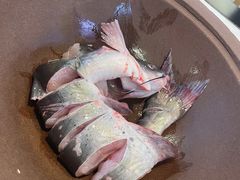 -鲜念蒸汽石锅鱼(红山6979店)