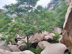 -碓臼峪自然风景区