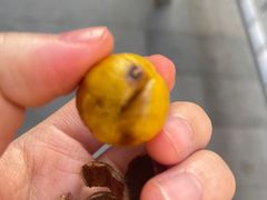 -杨记板栗(天虹总店)